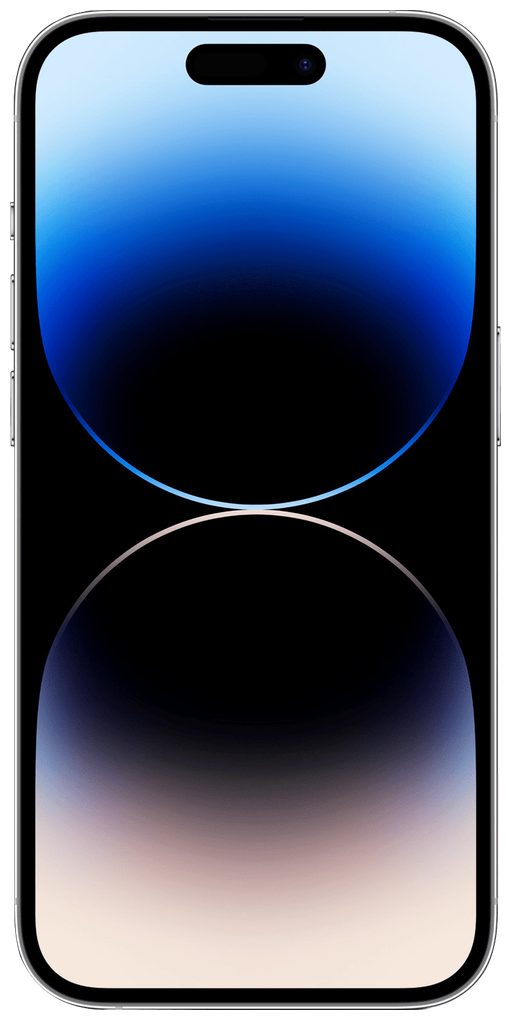 Apple iPhone 14 Pro Max in Silver