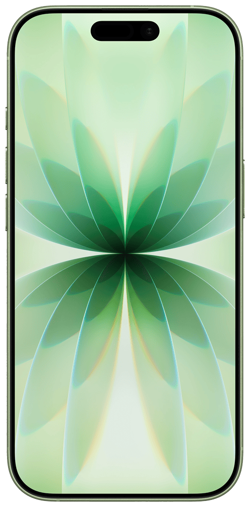 Apple iPhone 17 in Sage