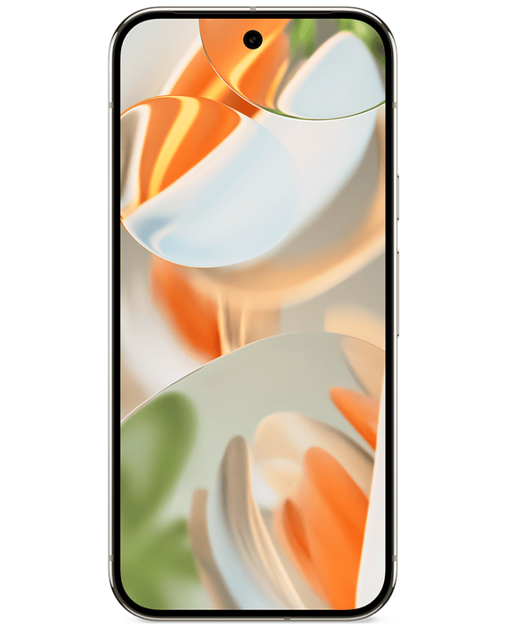 Google Pixel 9 Pro in Porcelain
