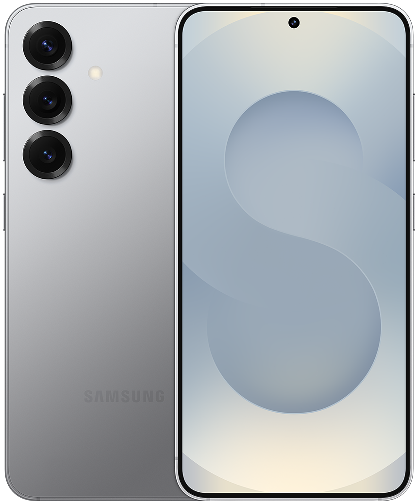 Samsung Galaxy S25 Silver Shadow